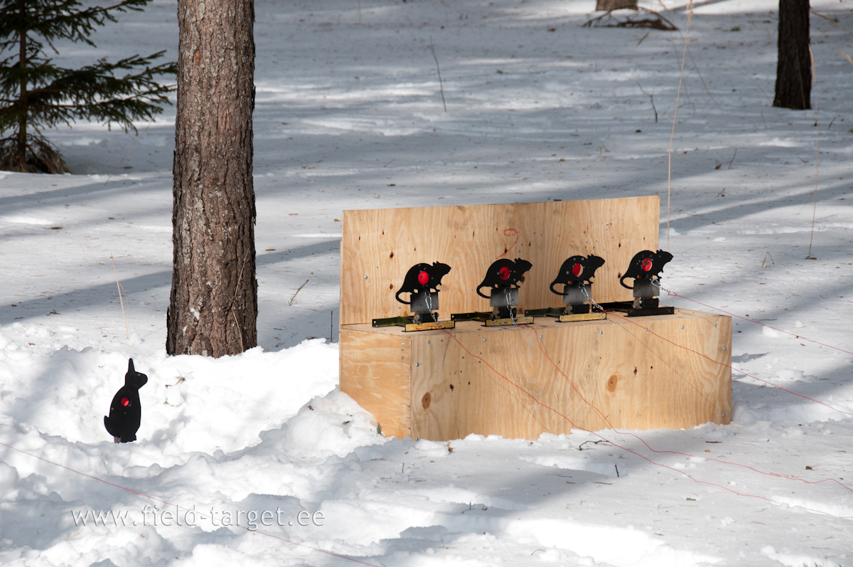 Märgid metsa all paremal pool olid harjutamiseks pandud 10 m kaugusele